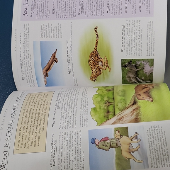 The Big Book Of Questions And Answers 2008 edition - Picture 12 of 15